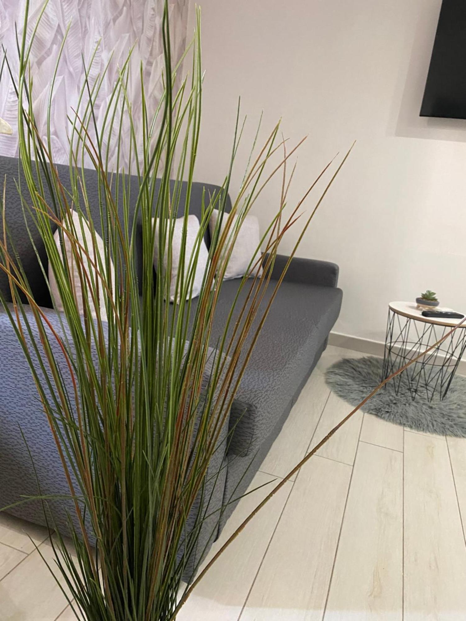 Daly Home Intero Appartamento Mugnano di Napoli Ngoại thất bức ảnh